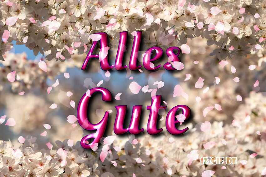 Alles Gute Auch Privat