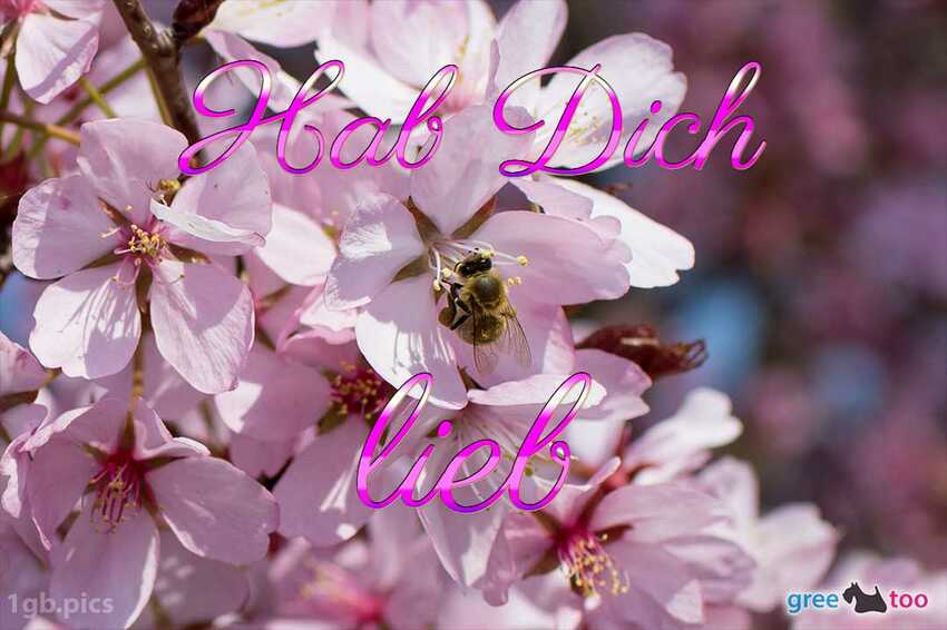 Emotionen Hab Dich Lieb Gif