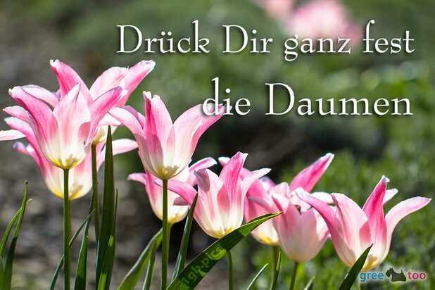 Daumen Drücken