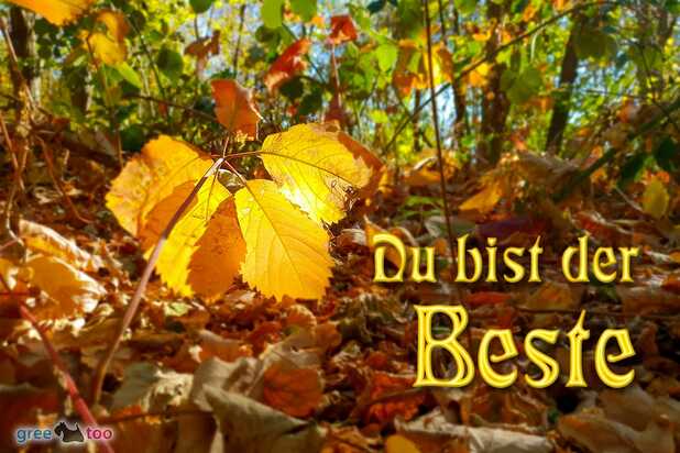 du-bist-der-beste-00014.jpg