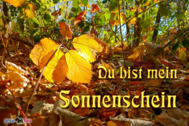 du-bist-mein-sonnenschein-00025.jpg