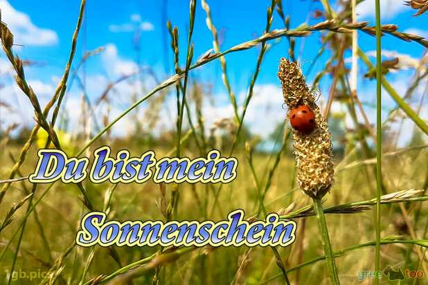 du-bist-mein-sonnenschein-00034.jpg