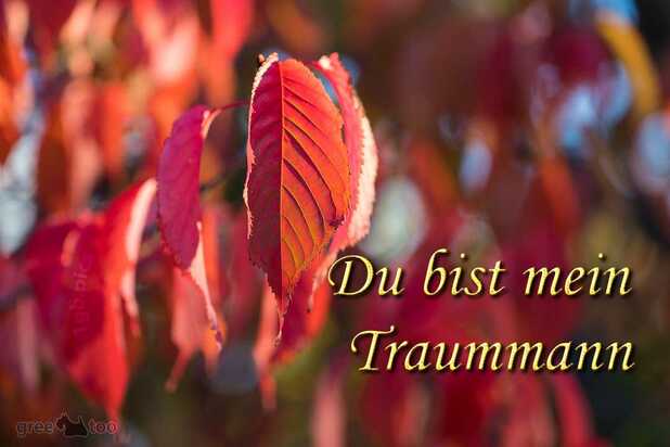 du-bist-mein-traummann-00029.jpg