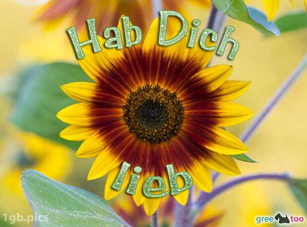 Hab Dich Lieb Bilder Kostenlos Herunterladen Kostenlose Hab Dich Lieb Grüße, Gifs und Cliparts - Jetzt herunterladen