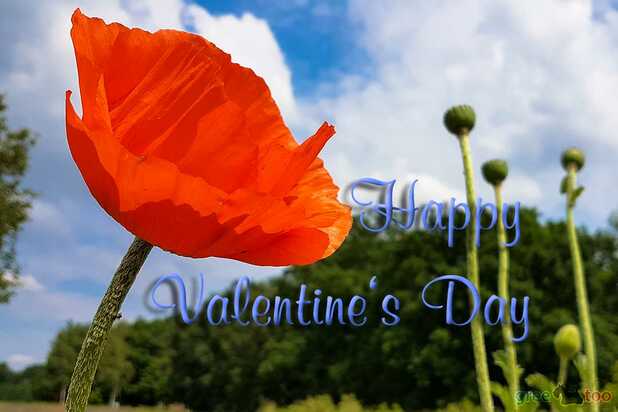 happy-valentines-day-00029.jpg