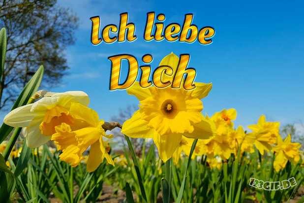 ich-liebe-dich-00027.jpg