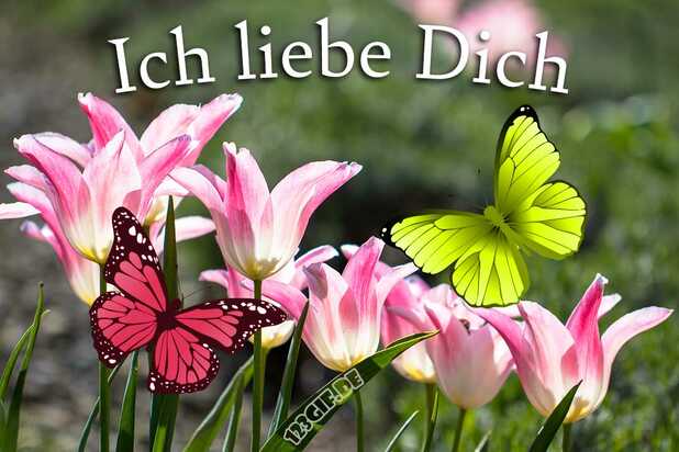 ich-liebe-dich-00029.jpg