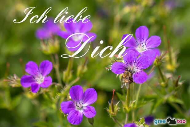 ich-liebe-dich-00035.jpg