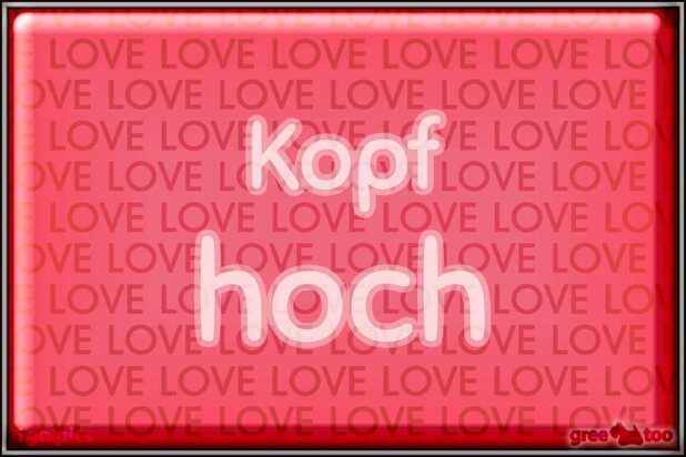 kopf-hoch-00018.jpg