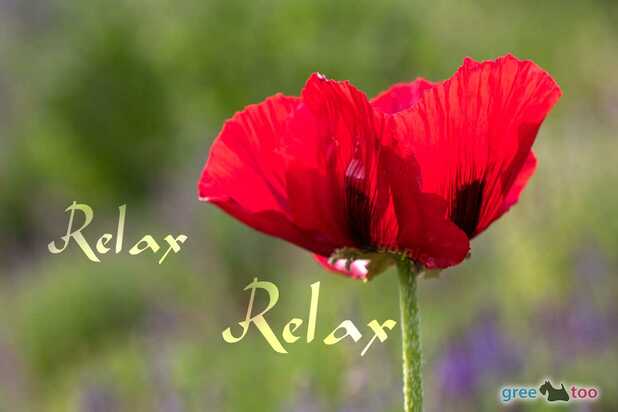 relax-00019.jpg