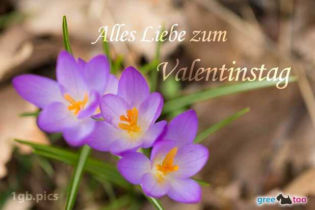 valentinstag-00029.jpg