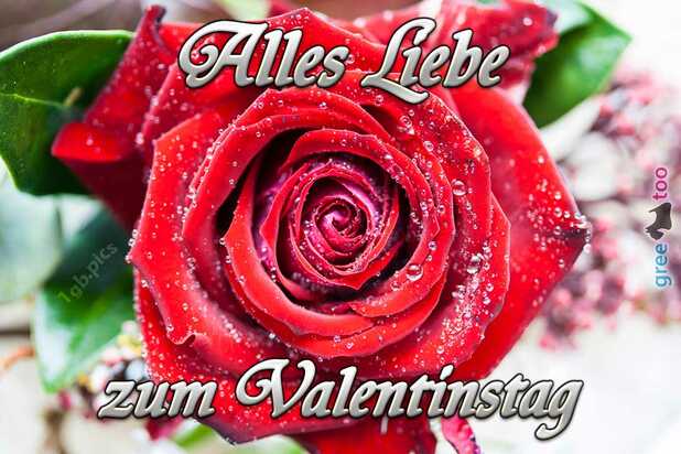 Valentinstag – Kostenlose Grüße & Grußkarten