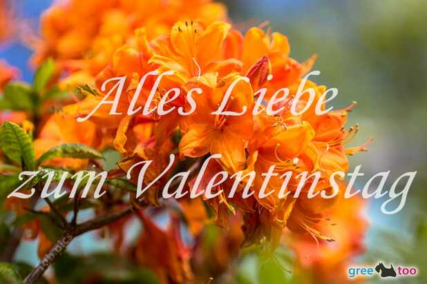 valentinstag-00031.jpg